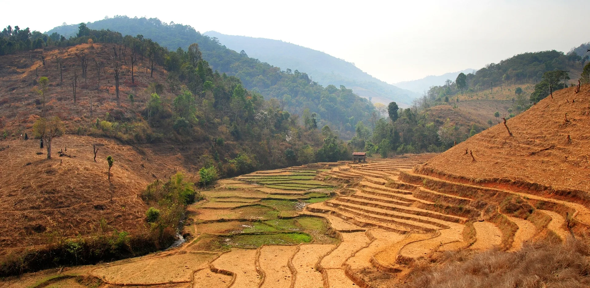 Rizières en terrasses et collines boisées dans la campagne de Chiang Mai